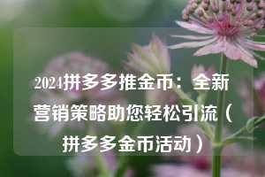 2024拼多多推金币：全新营销策略助您轻松引流（拼多多金币活动）  第1张