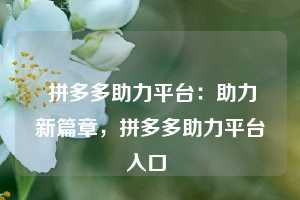  拼多多助力平台：助力新篇章，拼多多助力平台入口 第1张