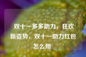  双十一多多助力，狂欢新姿势，双十一助力红包怎么用 第1张