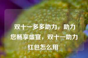  双十一多多助力，助力您畅享盛宴，双十一助力红包怎么用 第1张